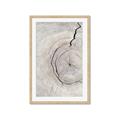 Picture of Cracked Wood _GroupedProduct_Rectangle_Portrait_Photography _GroupedProduct_Rectangle_Portrait_Framed_Matted_