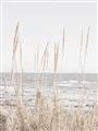 Picture of Beach Vass _GroupedProduct_Rectangle_Portrait_Photography _GroupedProduct_Rectangle_Portrait_Unframed_Print_Only_