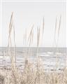 Picture of Beach Vass _GroupedProduct_Rectangle_Portrait_Photography _GroupedProduct_Rectangle_Portrait_Unframed_Print_Only_