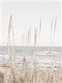 Picture of Beach Vass _GroupedProduct_Rectangle_Portrait_Photography _GroupedProduct_Rectangle_Portrait_Unframed_Print_Only_