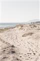Picture of My Beach View _GroupedProduct_Rectangle_Portrait_Photography _GroupedProduct_Rectangle_Portrait_Unframed_Print_Only_