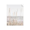 Picture of Beach Vass _GroupedProduct_Rectangle_Portrait_Photography _GroupedProduct_Rectangle_Portrait_Unframed_Print_Only_