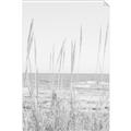 Picture of Beach Vass _GroupedProduct_Rectangle_Portrait_Photography _GroupedProduct_Rectangle_Portrait_Unframed_Print_Only_