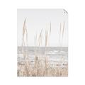 Picture of Beach Vass _GroupedProduct_Rectangle_Portrait_Photography _GroupedProduct_Rectangle_Portrait_Unframed_Print_Only_