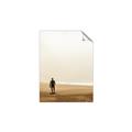 Picture of Looking for the Sun _GroupedProduct_Rectangle_Portrait_Photography _GroupedProduct_Rectangle_Portrait_Unframed_Print_Only_