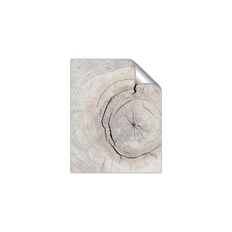 Picture of Cracked Wood _GroupedProduct_Rectangle_Portrait_Photography _GroupedProduct_Rectangle_Portrait_Unframed_Print_Only_