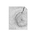 Picture of Cracked Wood _GroupedProduct_Rectangle_Portrait_Photography _GroupedProduct_Rectangle_Portrait_Unframed_Print_Only_