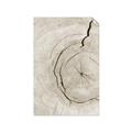 Picture of Cracked Wood _GroupedProduct_Rectangle_Portrait_Photography _GroupedProduct_Rectangle_Portrait_Unframed_Print_Only_