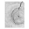 Picture of Cracked Wood _GroupedProduct_Rectangle_Portrait_Photography _GroupedProduct_Rectangle_Portrait_Unframed_Print_Only_