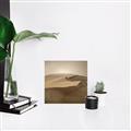 Picture of Desert Sand _GroupedProduct_Square_Photography _GroupedProduct_Square_Canvas_