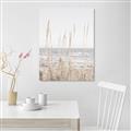 Picture of Beach Vass _GroupedProduct_Rectangle_Portrait_Photography _GroupedProduct_Rectangle_Portrait_Canvas_