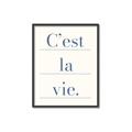 Picture of C'est La Vie II _GroupedProduct_Rectangle_Portrait_Canvas_Framed_