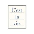 Picture of C'est La Vie II _GroupedProduct_Rectangle_Portrait_Canvas_Framed_