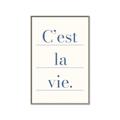 Picture of C'est La Vie II _GroupedProduct_Rectangle_Portrait_Canvas_Framed_