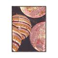 Picture of Soulful Disco Balls _GroupedProduct_Rectangle_Portrait_Photography _GroupedProduct_Rectangle_Portrait_Canvas_Framed_