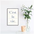 Picture of C'est La Vie II _GroupedProduct_Rectangle_Portrait_Canvas_Framed_