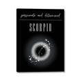 Picture of Scorpio Zodiac Print Art _GroupedProduct_Rectangle_Portrait_Canvas_