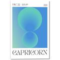 Picture of Capricorn Umbre _GroupedProduct_Rectangle_Portrait_Canvas_