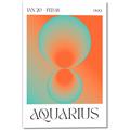 Picture of Aquarius Umbre _GroupedProduct_Rectangle_Portrait_Canvas_