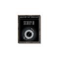 Picture of Scorpio Zodiac Print Art _GroupedProduct_Rectangle_Portrait_Canvas_Framed_