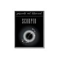 Picture of Scorpio Zodiac Print Art _GroupedProduct_Rectangle_Portrait_Canvas_Framed_
