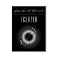 Picture of Scorpio Zodiac Print Art _GroupedProduct_Rectangle_Portrait_Canvas_Framed_