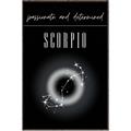 Picture of Scorpio Zodiac Print Art _GroupedProduct_Rectangle_Portrait_Canvas_Framed_