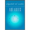 Picture of Aquarius Zodiac Print Art _GroupedProduct_Rectangle_Portrait_Canvas_Framed_