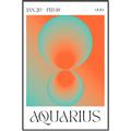 Picture of Aquarius Umbre _GroupedProduct_Rectangle_Portrait_Canvas_Framed_