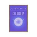 Picture of Capricorn Zodiac Print Art _GroupedProduct_Rectangle_Portrait_Framed_Matted_