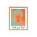 Picture of Aquarius Umbre _GroupedProduct_Rectangle_Portrait_Framed_Matted_