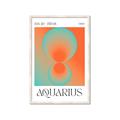 Picture of Aquarius Umbre _GroupedProduct_Rectangle_Portrait_Framed_Matted_