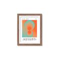 Picture of Aquarius Umbre _GroupedProduct_Rectangle_Portrait_Framed_Matted_