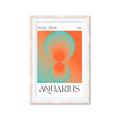Picture of Aquarius Umbre _GroupedProduct_Rectangle_Portrait_Framed_Matted_