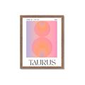 Picture of Taurus Umbre _GroupedProduct_Rectangle_Portrait_Framed_Matted_