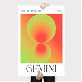 Picture of Gemini Umbre _GroupedProduct_Rectangle_Portrait_Canvas_