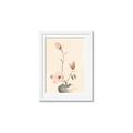 Picture of Magnolia Decadence I _GroupedProduct_Rectangle_Portrait_Framed_Matted_