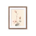 Picture of Magnolia Decadence I _GroupedProduct_Rectangle_Portrait_Framed_Matted_