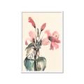 Picture of Pink Lily II _GroupedProduct_Rectangle_Portrait_Framed_Matted_