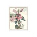 Picture of Pink Lily IV _GroupedProduct_Rectangle_Portrait_Framed_Matted_