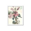 Picture of Pink Lily IV _GroupedProduct_Rectangle_Portrait_Framed_Matted_