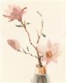 Picture of Magnolia Decadence II _GroupedProduct_Rectangle_Portrait_Unframed_Print_Only_