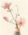 Picture of Magnolia Decadence II _GroupedProduct_Rectangle_Portrait_Unframed_Print_Only_