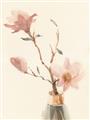 Picture of Magnolia Decadence II _GroupedProduct_Rectangle_Portrait_Unframed_Print_Only_