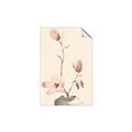 Picture of Magnolia Decadence I _GroupedProduct_Rectangle_Portrait_Unframed_Print_Only_