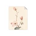 Picture of Magnolia Decadence I _GroupedProduct_Rectangle_Portrait_Unframed_Print_Only_