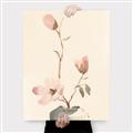 Picture of Magnolia Decadence I _GroupedProduct_Rectangle_Portrait_Canvas_