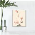 Picture of Magnolia Decadence I _GroupedProduct_Rectangle_Portrait_Canvas_Framed_