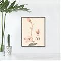 Picture of Magnolia Decadence I _GroupedProduct_Rectangle_Portrait_Canvas_Framed_