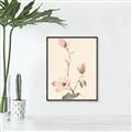 Picture of Magnolia Decadence I _GroupedProduct_Rectangle_Portrait_Canvas_Framed_